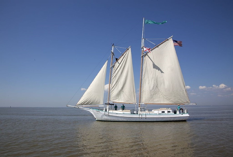 yachting, daytime, vessel, sailing, yacht, nature, 1080P, no people, outdoors, white, passenger craft, pole, travel, boat, sky, cruise, maritime, vacations
