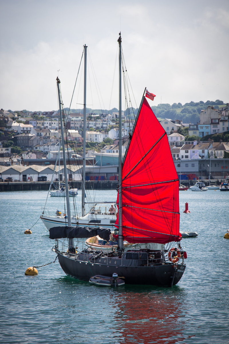 marina, city, body of water, ship, transport, black, devon, sailing, sailing Ship, sail, harbor, cruise, marine, body, sailboat, architecture, yacht, built structure