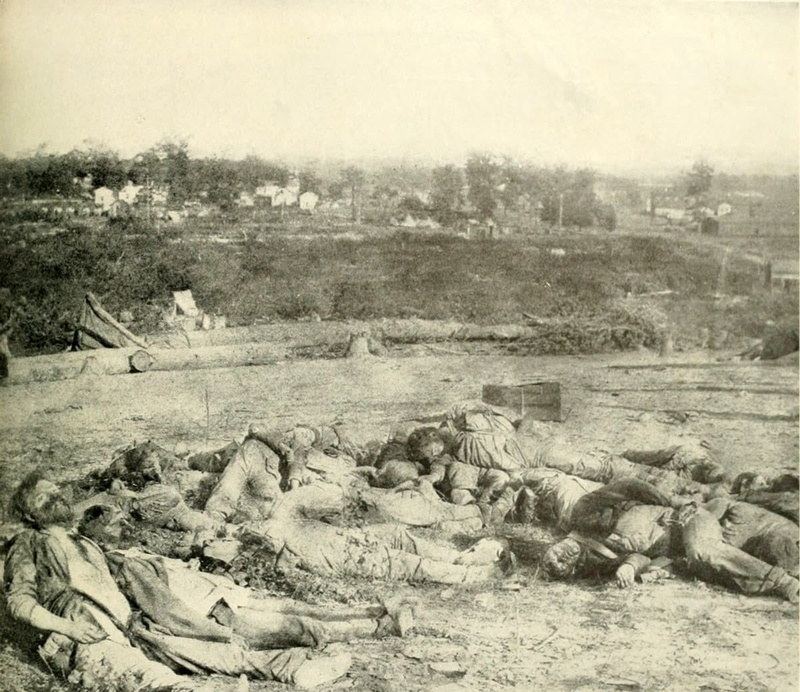 animals in the wild, Casualties, photos, black And White, nature, corinth, outdoors, mammal, time, vintage, visual Art, Battle of Corinth, public domain