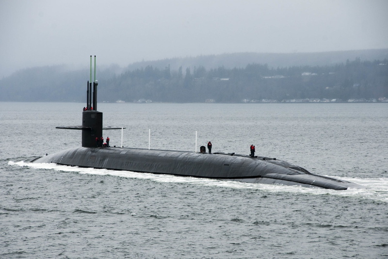 animal, black, marine, Navy, Submarine, sky, waterfront, sailing, Water, nautical, vessel, white, photo, day, surface, building exterior, ocean, daytime