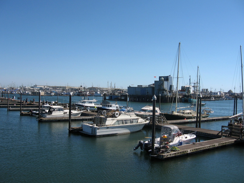 returning, harbour, photos, blue, Washington, copy space, pier, no people, architecture, Westport, transportation, moored, clear sky, water, Marina, ships