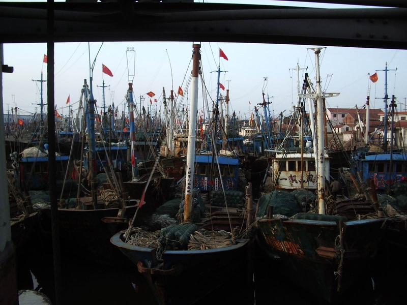 water, pole, barharbor, bay, nautical Vessel, angler, lifestyle, shrimping, large group of objects, harbor, tackle, transportation, fishing industry, Boats