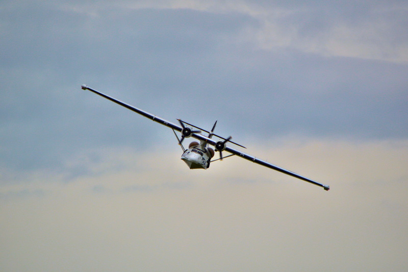 aircraft, air Vehicle, animals in the wild, low angle view, animal wildlife, Catalina, consolidated, sky, flyingboat, motion, mode of transportation, catalina flying boat