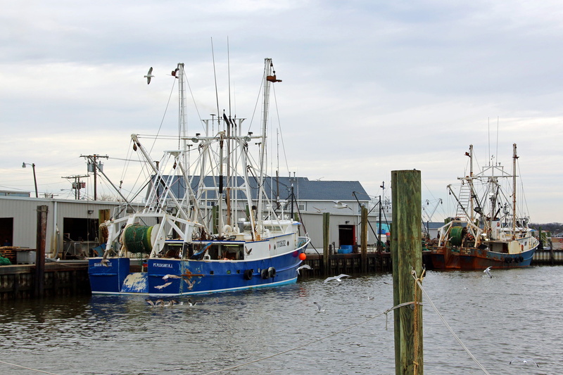 pleasant, deep sea fishing charters, nautical vessel, marinas, waterfront, point, party boat fishing, offshore fishing boats, two, sea, mode of transportation