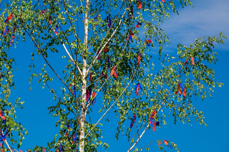 healthy eating, no people, food, fruit, photo, branch, plant, growth, 1 may, holiday, flags and pennants, blue, may day, low angle view, birch, food and drink