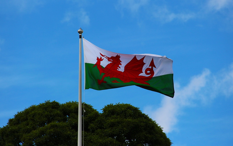no people, plant, green, design, national, wales, low angle view, environment, pole, sign, dragon, nature, patriotism, original, waving, icon, maple leaf