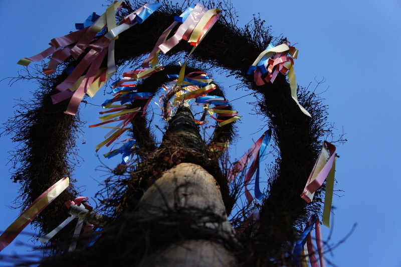 maypole, arts culture and entertainment, decorated, spring, costume, disguise, festival, celebration, mask, custom, headwear, obscured face, outdoors, bavaria