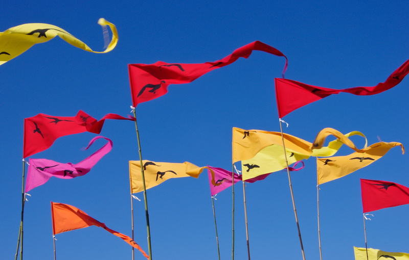 yellow, sky, blue, red, low angle view, pennants, colourful, motion, 2K, nature, clear sky, australia, wind, art, modern, triangular, flags, multi colored