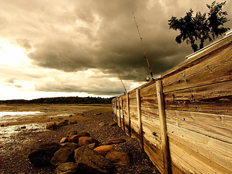 travel Destinations, brown, no People, tranquil Scene, non-Urban Scene, track, sun, wooden, wood - Material, overcast, scenics - nature, coastline, fishing