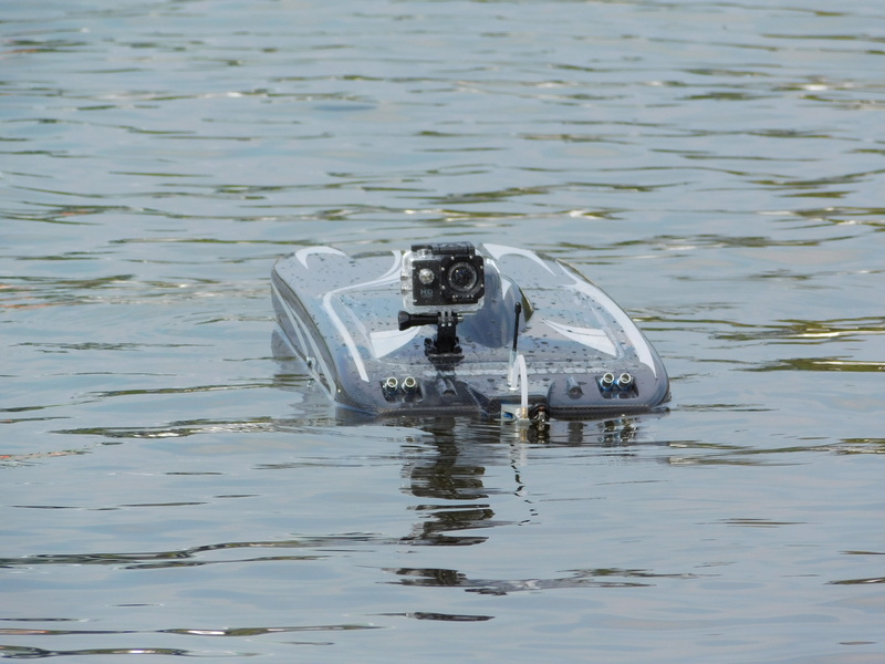model ship, camera, nature, rc boat, reflection, one animal, animal wildlife, beauty in nature, no people, animal themes, lake, 4K, rippled, model boat