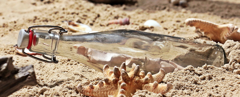 container, focus on foreground, one animal, animal head, 4K, land, clear, glass, letters, beside, glass bottle, post, no people, vertebrate, beach, day