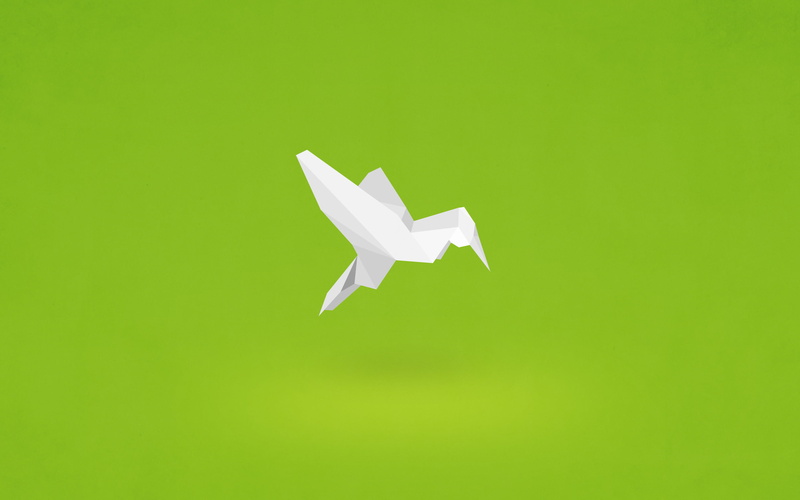 backgrounds, flying, green color, indoors, mode of transportation, air, white color, Hummingbird, no People, white, creativity, minimalism, air Vehicle
