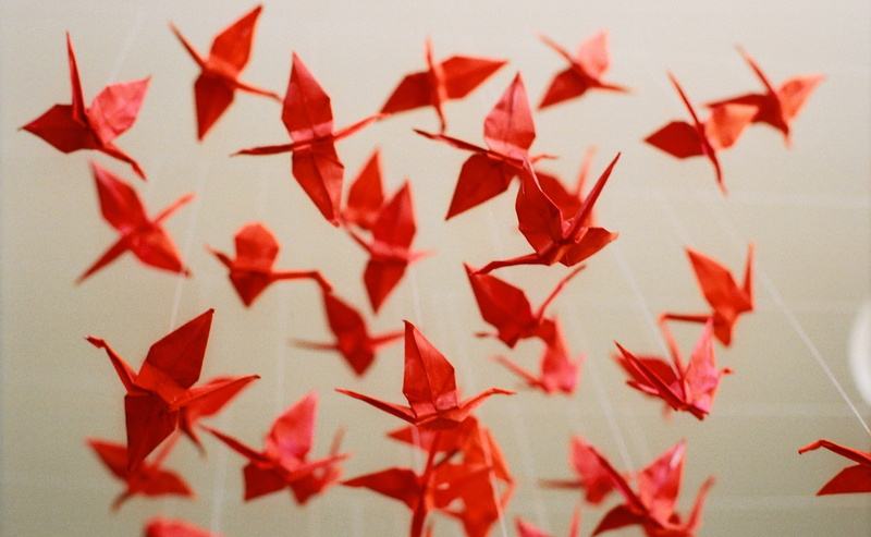 Origami, Vintage, red, focus on foreground, animal representation, paper cranes, studio shot, plant part, nature, origami cranes, lot, art and craft, large group of objects