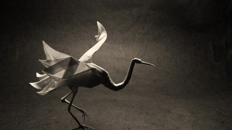 studio shot, nature, card, origami, animals in the wild, one animal, animal, vertebrate, captor, anime, animal body part, no people, plant part, bird, hd
