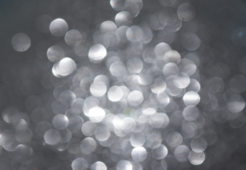 nature, no people, bright, effect, reflection, flare, circle, blue, aperture stain, out of focus, elegance, bokeh, illuminated, background, blur, softness