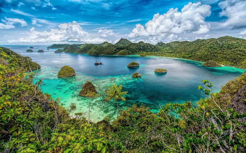 bay, cloud, green, long, 2K, t, nature, nam, pierre, ha, islands, palm, trees, tropical, vi, ocean, forest