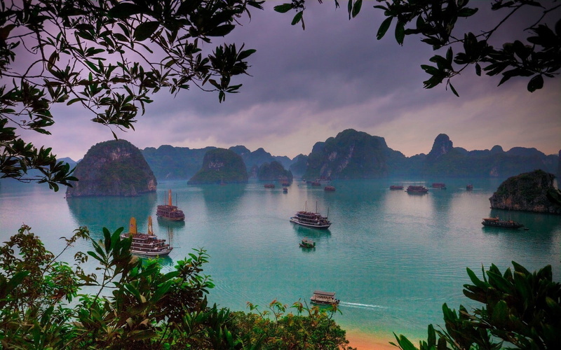 tranquil scene, 720P, nature, water, landscape ha long bay vietnam nature sea ship tropical beach island mountain sunrise trees morning, bay, plant, transportation