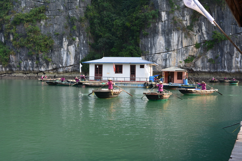 day, transportation, river, cruise, travel, architecture, mode of transportation, nature, nautical vessel, water, ha long bay, 5K, outdoors, tree, moored