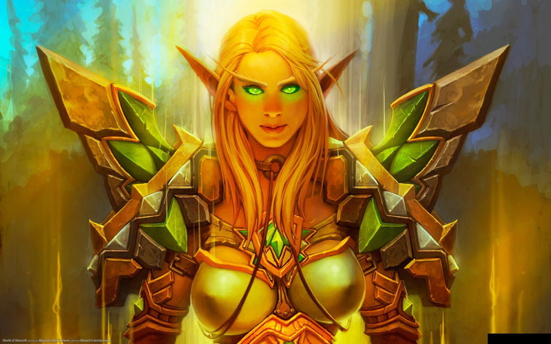 bloodelf, games, world, 720P, video, hd, wow, paladin, belf, art, horde, warcraft