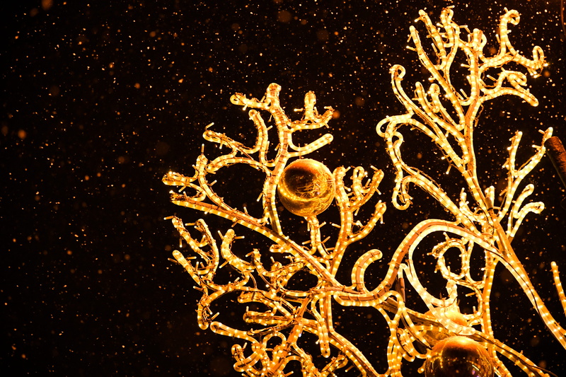 5K, sea life, accessory, black background, fractal, water, text, cold temperature, ornament, night, creativity, nature, outdoors, annual event, decoration