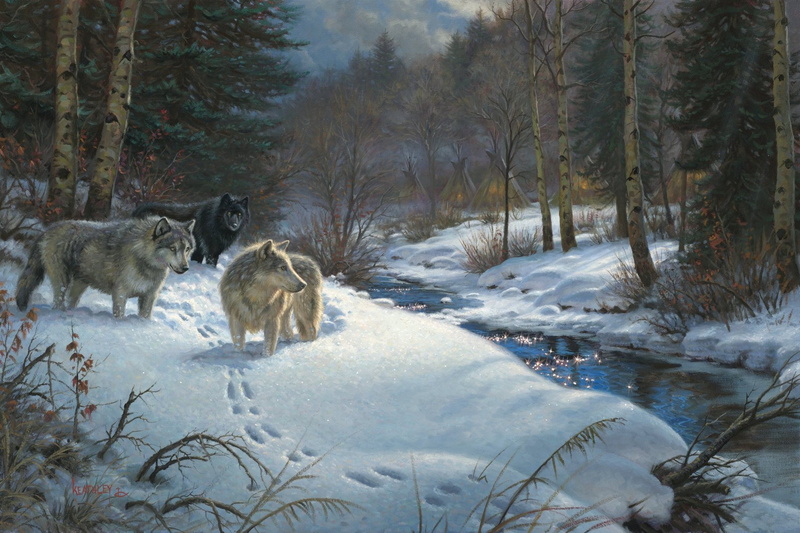 brown, forest, the evening, 2K, outdoors, stream, animal, fur, snow, Mark Keathley, three, canine, landscape, frost, land, plant, carnivore, winter, woodland
