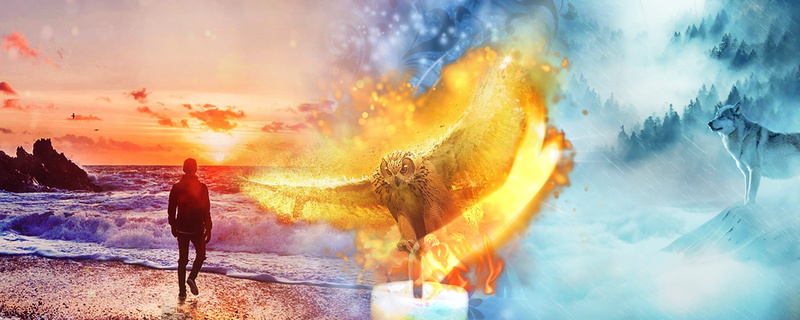 orange, water, digital composite, owl, light, waves, sunrise, forest, golden, rear view, photoshop, magic, guy, outdoors, snow, new, newstart, shape, sunlight