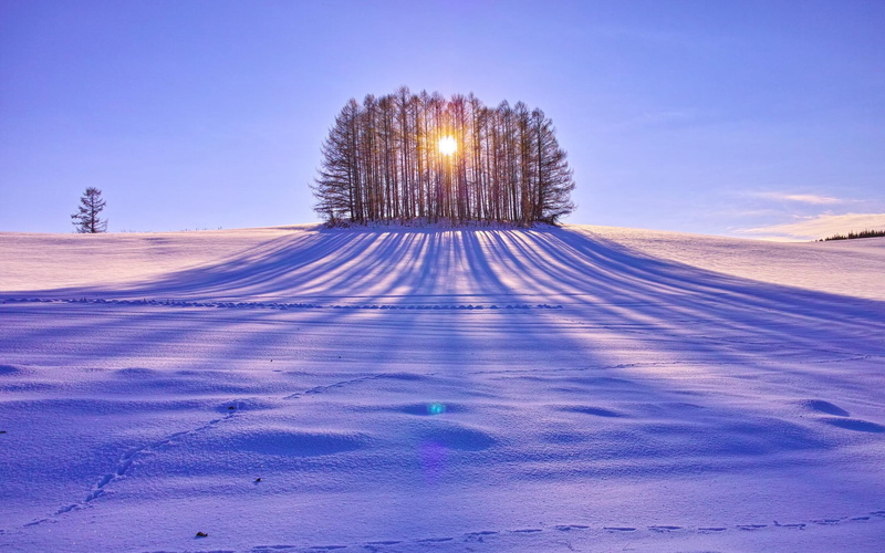 winter, cold temperature, nature, architecture, scenics - nature, night, sky, vase, outdoors, brown, landscape, plant, 1080P, land, white, dusk, snow