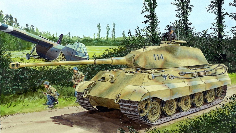 glider, nature, power, King tiger, plant, world War II, sky, soldiers, weapon, aggression, russia, machinery, tank, conflict, outdoors, Royal tiger, army