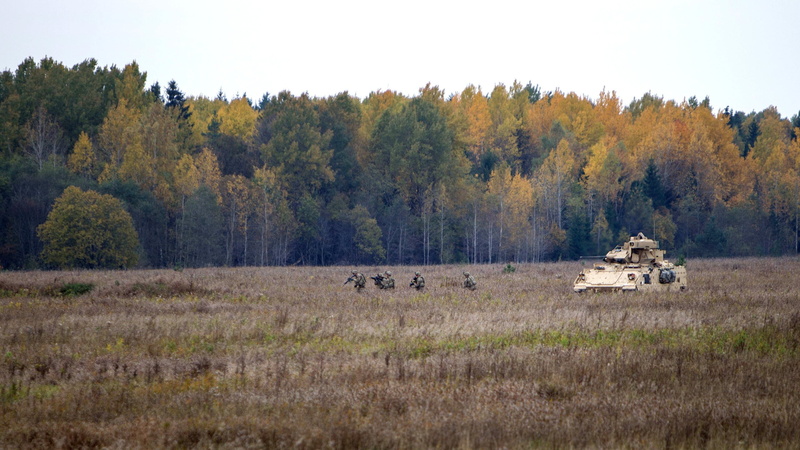 nature, scenics - nature, mammal, plant, beauty in nature, environment, animal wildlife, 2K, soldier, herbivorous, field, United States Army, animal, no people
