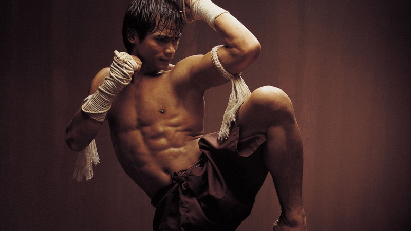 waist up, indoors, adult, lifestyles, shirtless, one person, muscular build, movies, actor, sports training, chest, Ong-Bak, healthy lifestyle, Tony Jaa