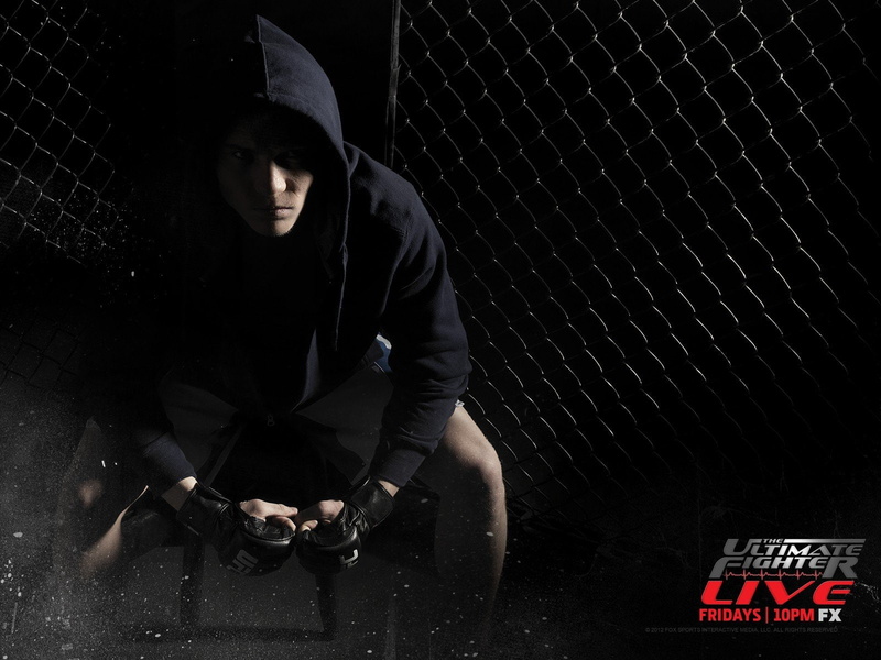 martial, boxing, ufc, fighting, mma, wrestling, arts, 720P