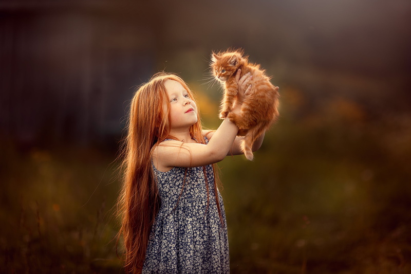 Girl, kitty, kindness, 2K