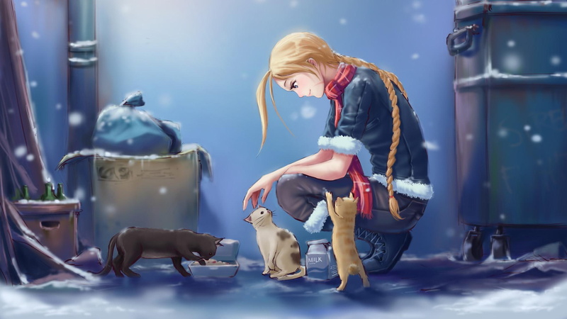 street, hearted, 1080P, kind, kind-hearted girl, winter, food, stray, cats, stray cats, girl