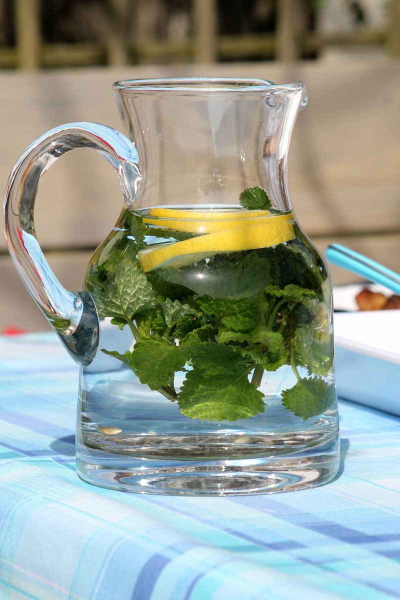 lemon, aqua regia, close-up, crockery, table, glass - material, cloth, household equipment, spawning, lunch, mint leaf - culinary, food, refreshment, leaf