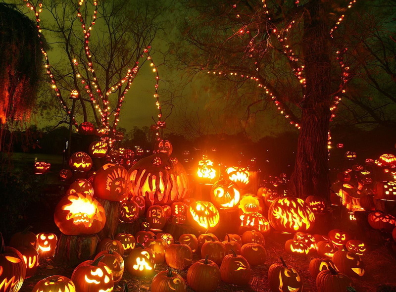 night, pumpkin, halloween, fire, trees, 720P, holiday