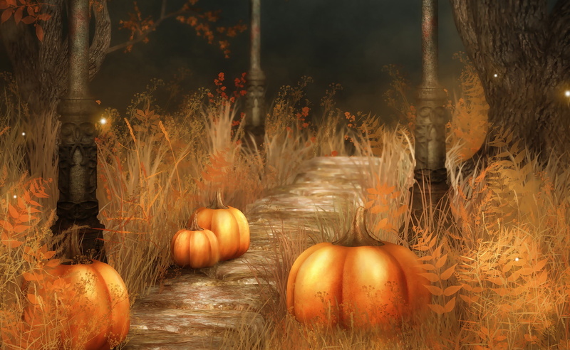 celebration, tree, healthy eating, Pumpkins, growth, food and drink, plant, orange color, ground, painting, 2K, field, outdoors, hd, Halloween, vegetable