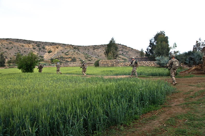 outdoors, 5K, marching, scouts, environment, rural scene, day, plant, fields, tree, growth, us army, troops, animal themes, army, troopers, land, afghanistan