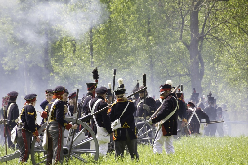 crowd, plant, 1080P, holding, smoke - physical structure, security, napoleon, safety, forest, wearing, group of people, theater, government, grass, clothing
