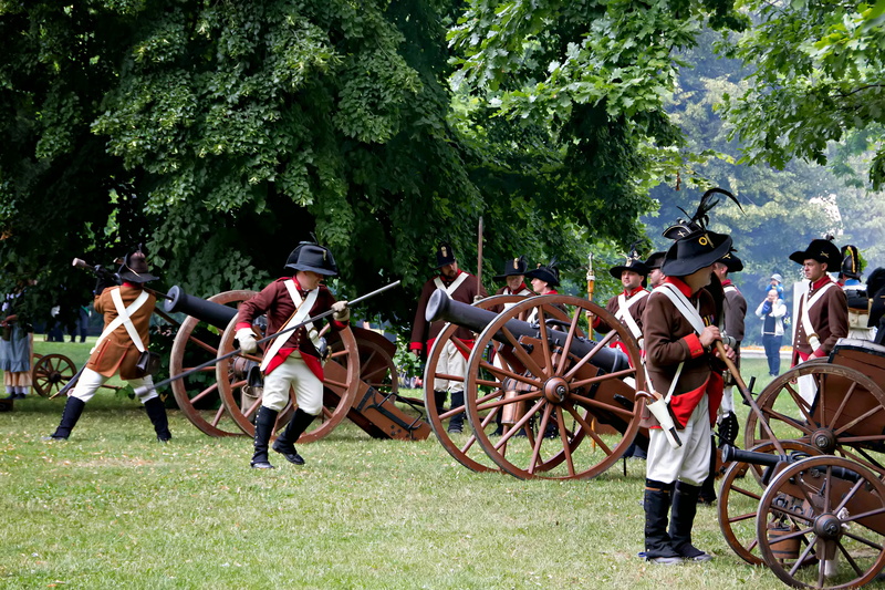 tree, grass, green color, real people, growth, history, the austrian army, war, men, large group of people, horse, napoleon, cannon, mode of transportation