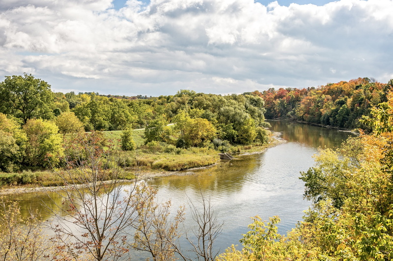 green color, tree, beauty in nature, non-urban scene, outdoors, plant, day, cloud - sky, autumn, water, lake, growth, change, scenics - nature, tranquility