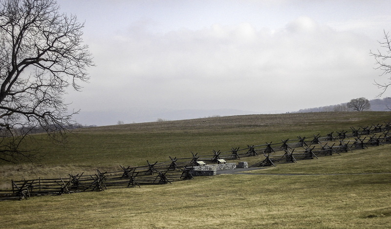 agriculture, tranquil scene, civil war, photo, grass, day, tree, animal themes, no people, environment, line, landscapes, landscape, stone wall, Antietam National Battlefield