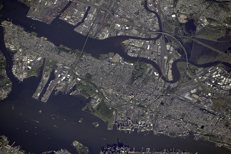 outdoors, one animal, city, sunlight, animal themes, branch, no people, close-up, satellite image, United States, transportation, new, nature, View, aerial View
