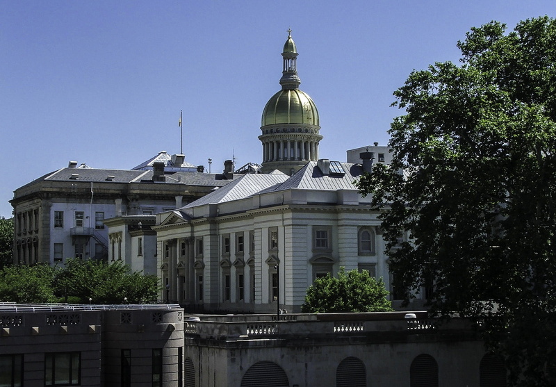 tree, plant, dome, nature, house, history, New Jersey State House, Trenton, neo-classical, state house, state Capitol Building, authority, day, 1080P