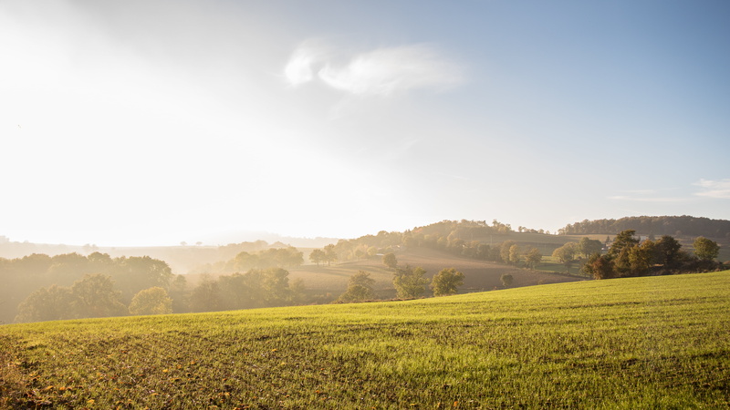 green, Auvergne Rhône Alpes, forest, sky, sunlight, nature, field, hill, 5K, rural Scene, mist, farm, meadow, season, brume, Monts du Lyonnais, sunset