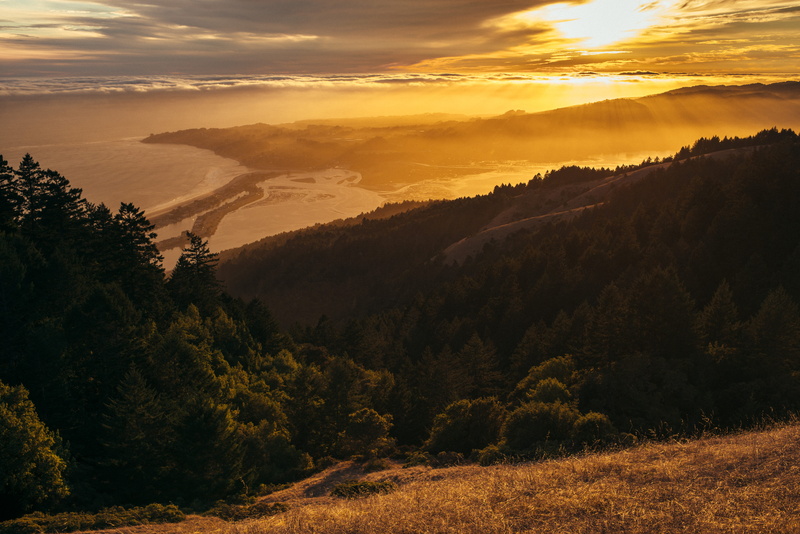 coniferous tree, tranquility, scenics - nature, mountain, hill, trees, landscape, forest, sun, sunset, no People, outdoors, mountain peak, beauty In Nature