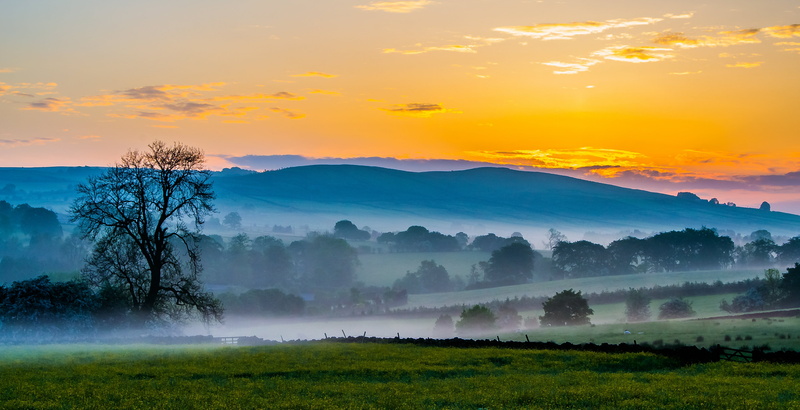 sunrise, outdoors, nature, dawn, landscape, golden, tree, green leaf, mountains, golden hour, mist, colne, 4K, sunrise - Dawn, rural, mountain, rural Scene