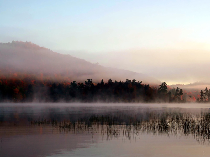 Misty, beauty In Nature, tree, Explore, forest, reflection, scenics, BRAVO, QUALITY, autumn, landscape, Adirondacks, sunset, body of water, green, nature