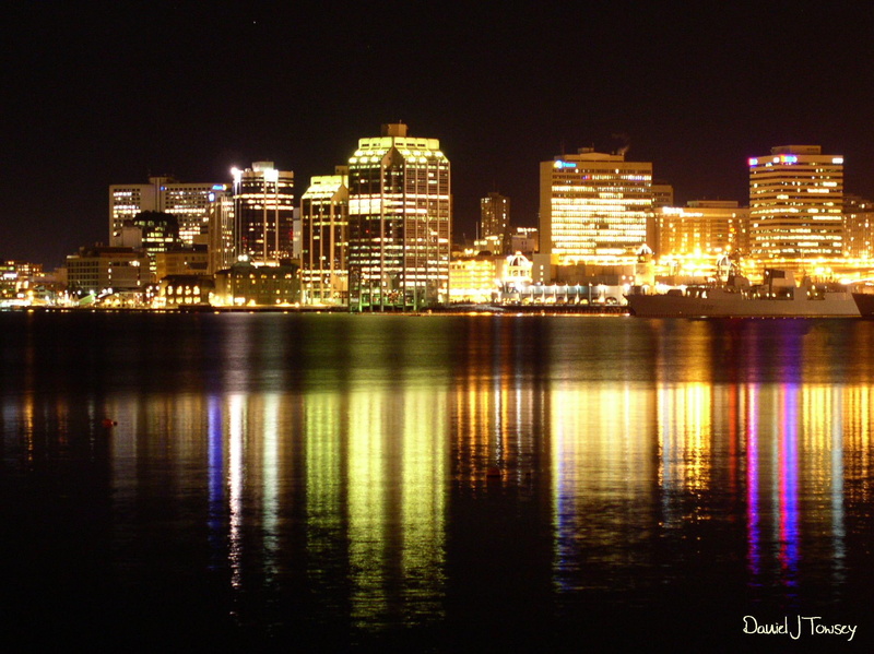 nova, halifax nova scotia, halifax, scotia, 1080P, danieltowsey, animals