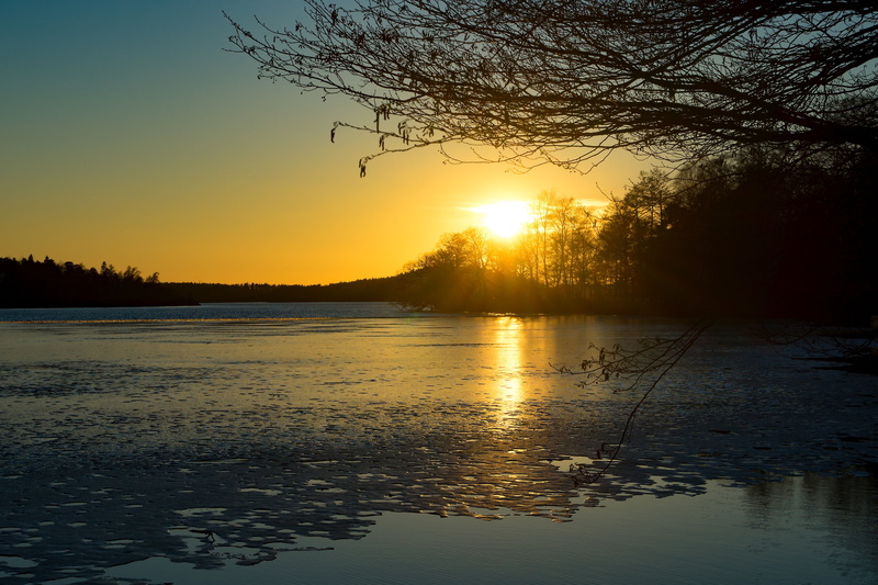 contrast, romantic sky, branch, sunlight, old, blue, outdoors, orange, scenery, golden, sunshine, lake, relaxation, lens flare, meditation, scandinavia