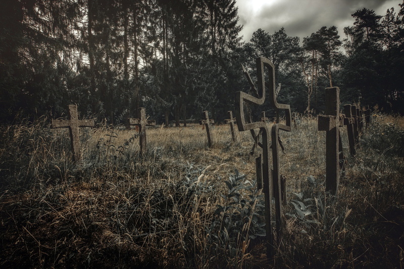 grass, boundary, wooden post, outdoors, land, non-urban scene, landscape, tree, post, forest, wood - material, sky, cross, barrier, graveyards, 1080P